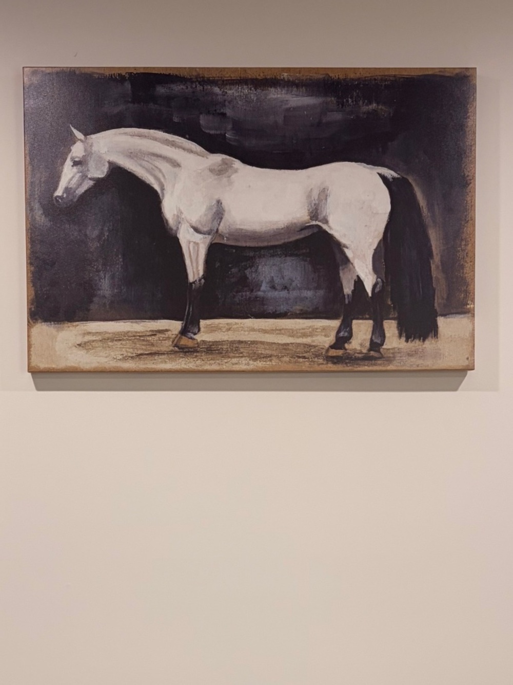 Elegant Horse Canvas Wall Art
